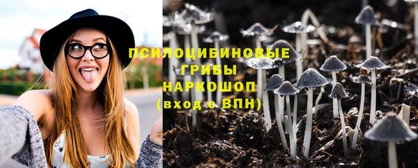 2c-b Богородицк