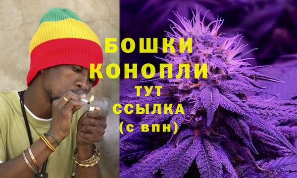 мдпв Богданович