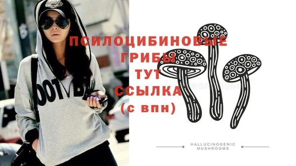 2c-b Богородицк