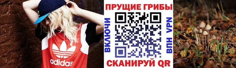 Галлюциногенные грибы GOLDEN TEACHER  Купить  Холмск 